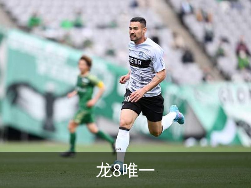 了解龙8唯一
